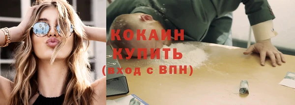 ешки Корсаков