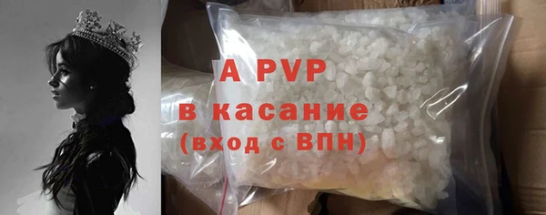 ешки Корсаков