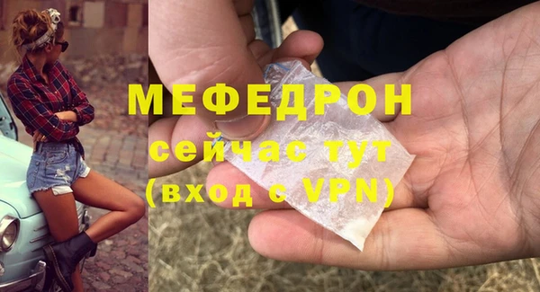 ешки Корсаков