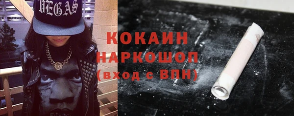 ешки Корсаков
