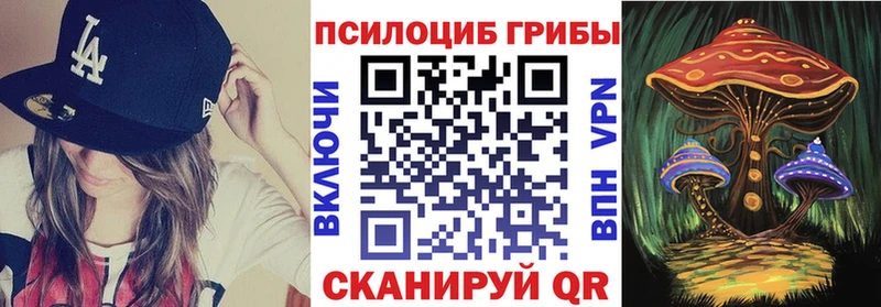 Галлюциногенные грибы Psilocybine cubensis Купить Полярные Зори